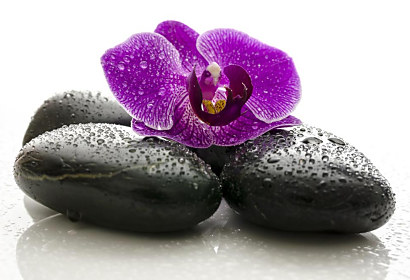 Fototapeta Wellness orchidea 1542